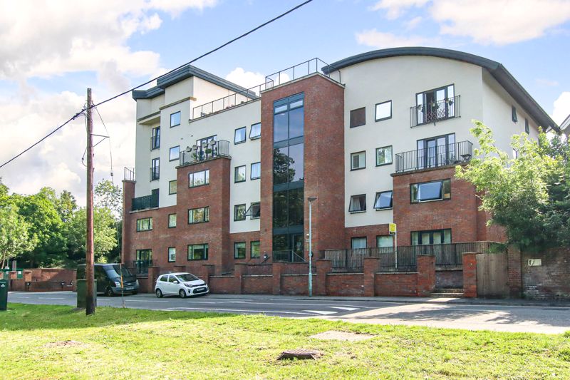 Main Image